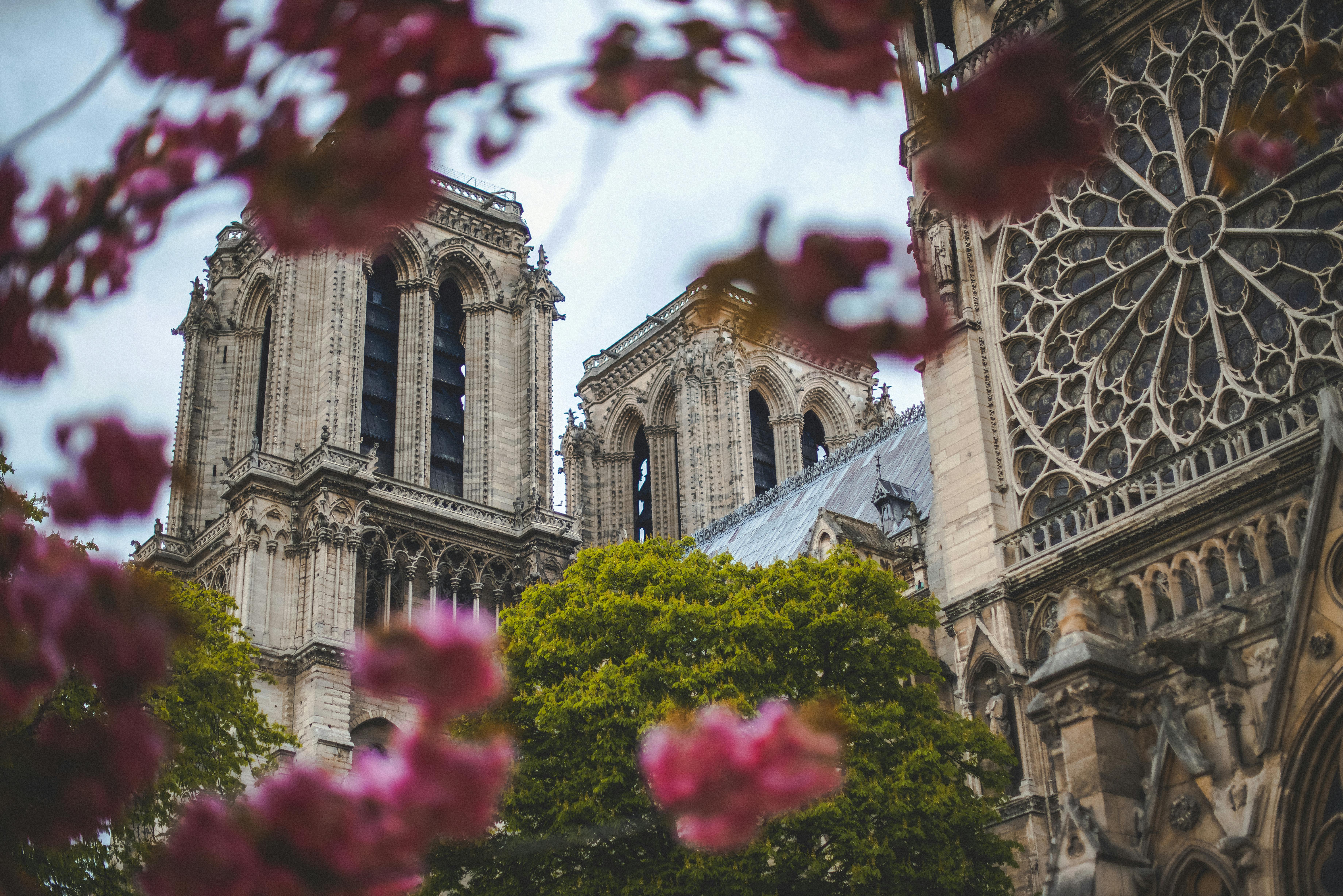 Notre-Dame de Paris